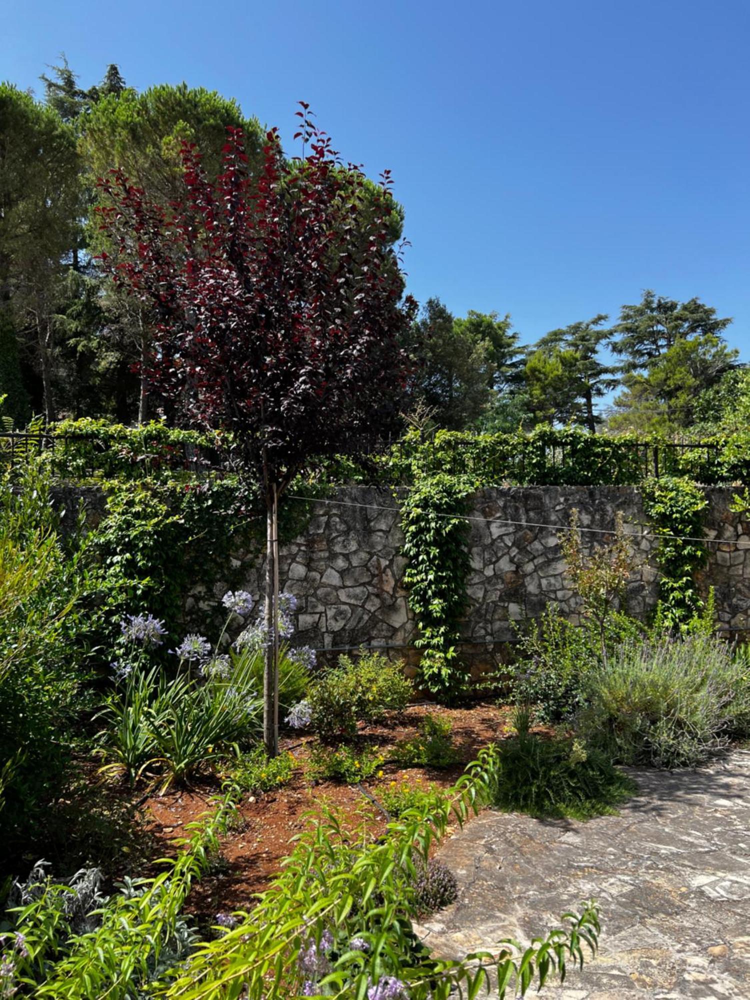 Dimora Di Bari Villa Selva Di Fasano Buitenkant foto