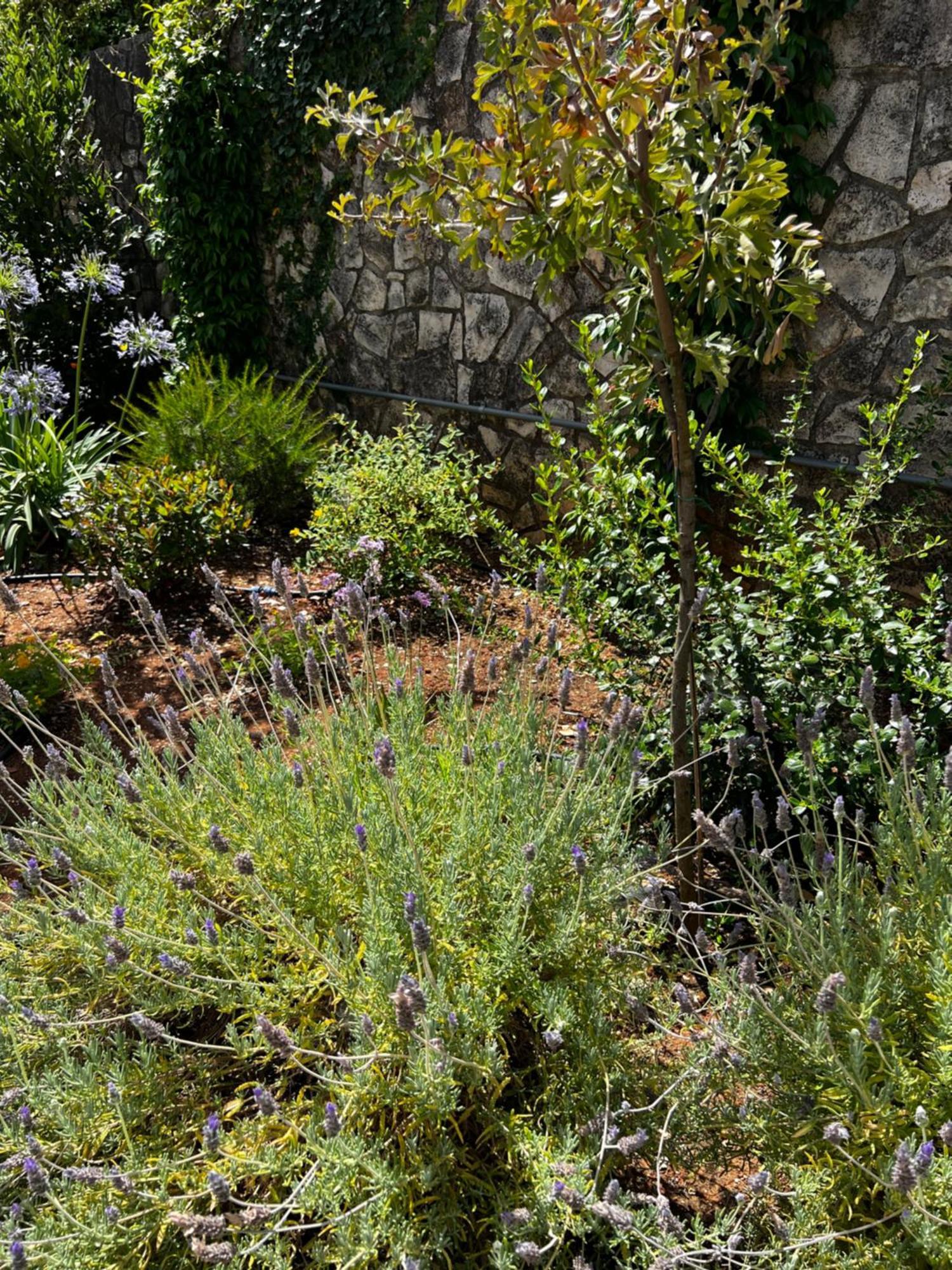 Dimora Di Bari Villa Selva Di Fasano Buitenkant foto
